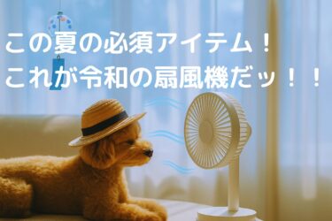 【2025年最新】扇風機の概念が変わる！？コードレスで快適すぎるおすすめ家電を紹介
