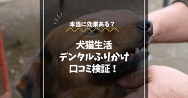 犬猫生活デンタルふりかけの口コミ検証！本当に効果ある？歯磨きを嫌がる子でも続けやすい理由とは？