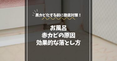 お風呂の床に赤カビが出る原因と落とし方｜黒カビ化する前に徹底対策！