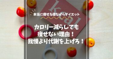 【カロリー減らしても痩せない理由】我慢より“代謝を上げて燃やす”が正解！寝ながら痩せた体験談